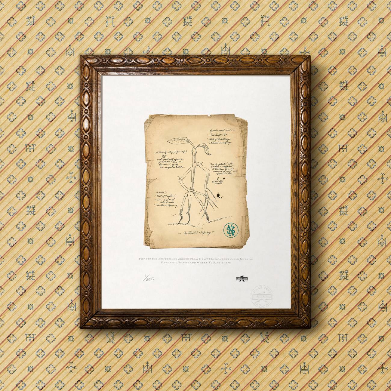 Pickett the Bowtruckle sketch from the pages of Newt Scamander’s field journal from the film 'Fantastic Beasts and Where to Find Them' - limited edition MinaLima art print (standard finish framed view)